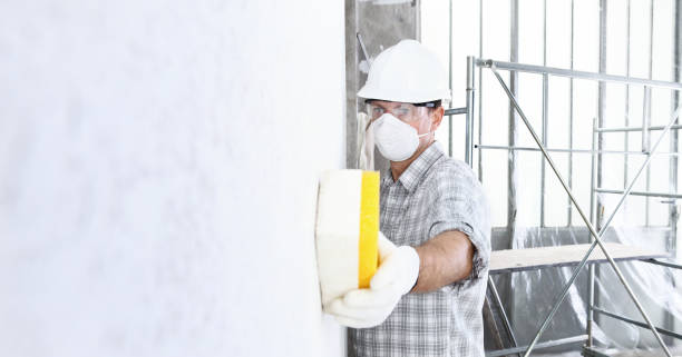 Trusted Newington Forest, VA Mold Removal Experts